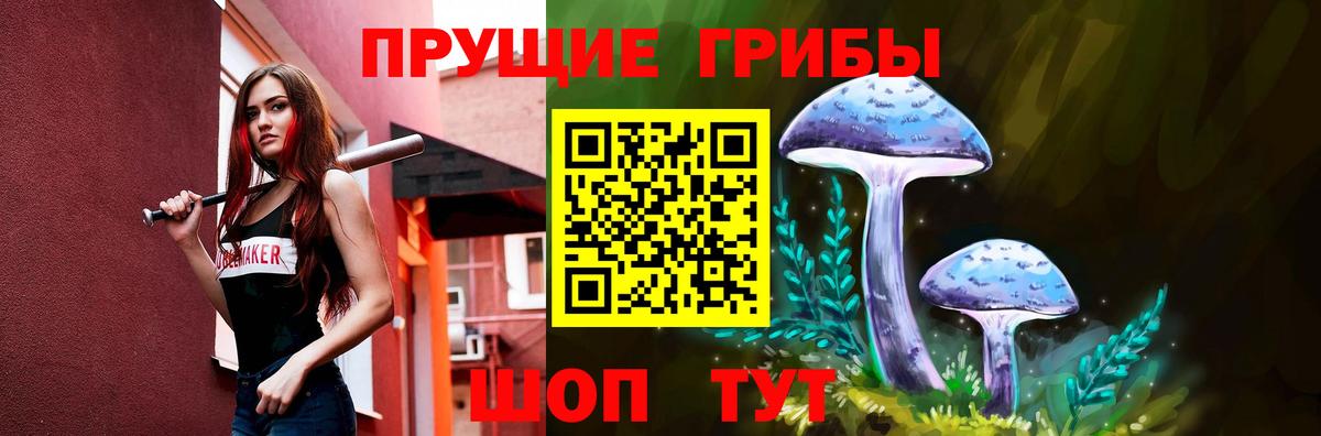 Псилоцибиновые грибы Magic Shrooms  Вход с VPN  Псилоцибиновые грибы Psilocybe  Кузнецк 